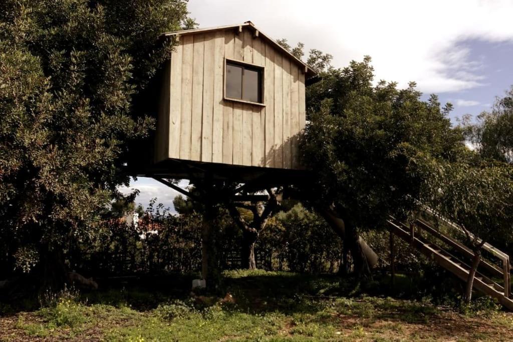 Ferienhaus Con Piscina Y Barbacoa 6 Personas En Plena Naturaleza