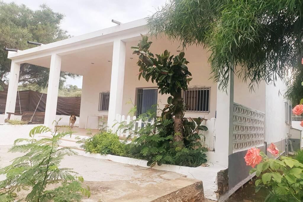 Ferienhaus Con Piscina Y Barbacoa 6 Personas En Plena Naturaleza Picassent